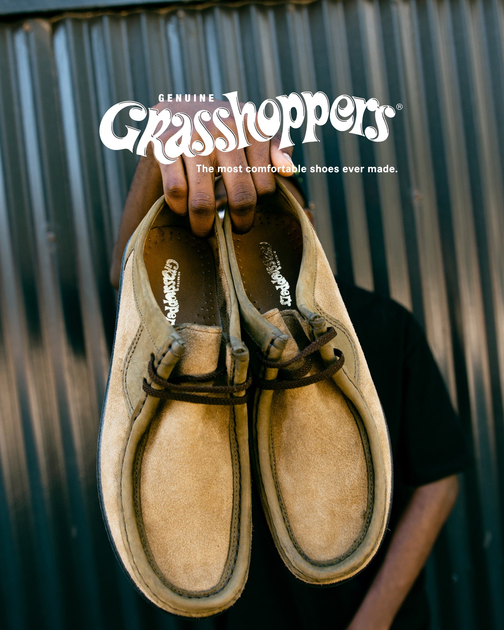 GRASSHOPPERS