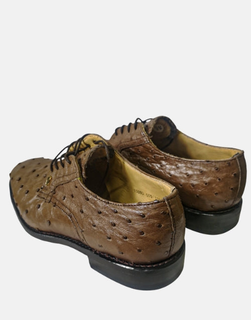 Crockett & Jones Leather Adam Genuine Ostrich Kango Shoe