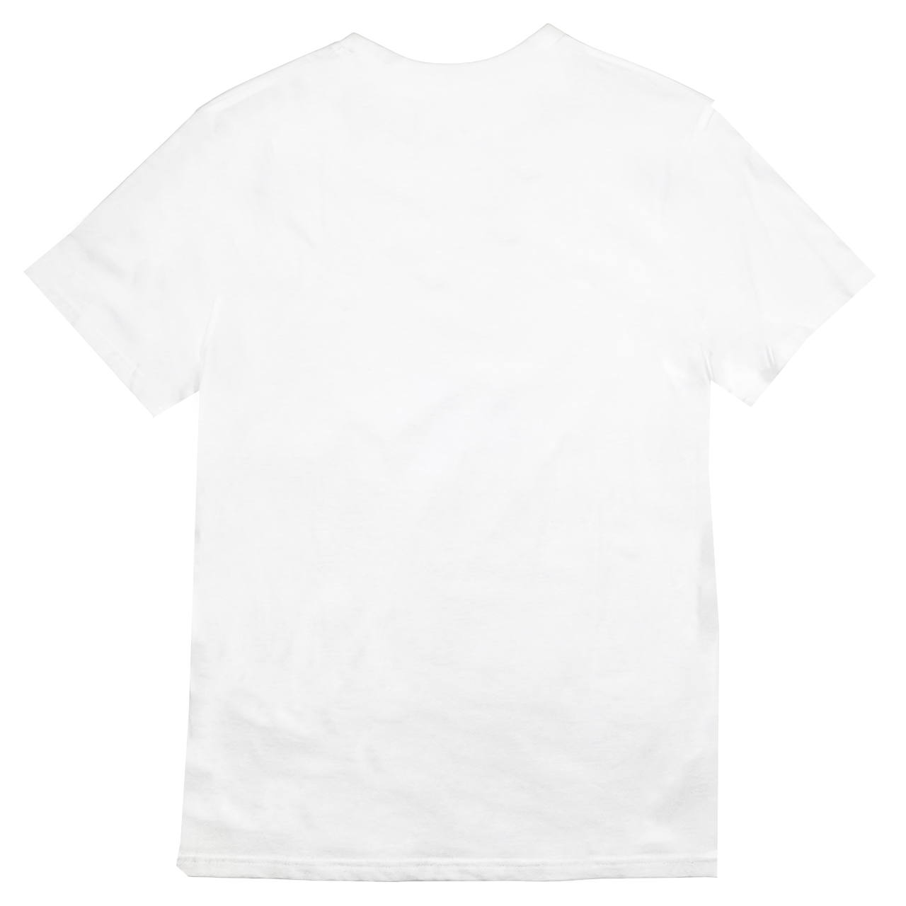 Polo US ASSN Crew Neck T-Shirt White