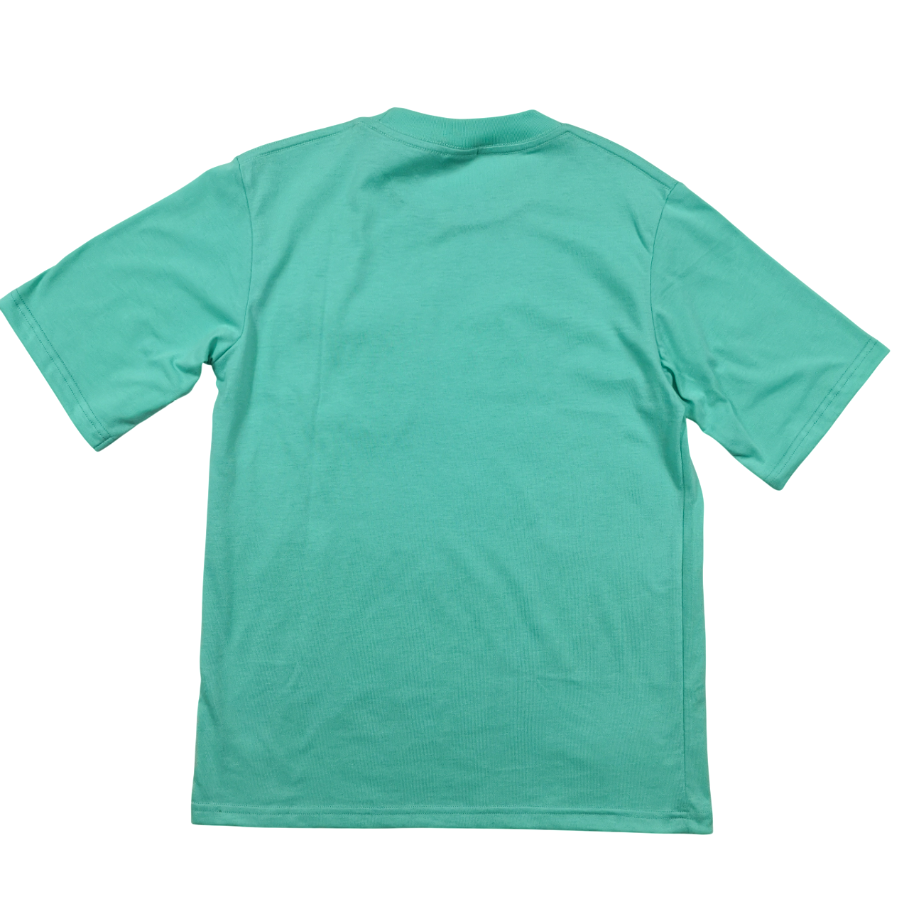 Pointer Mint Argyle Classic T-Shirt