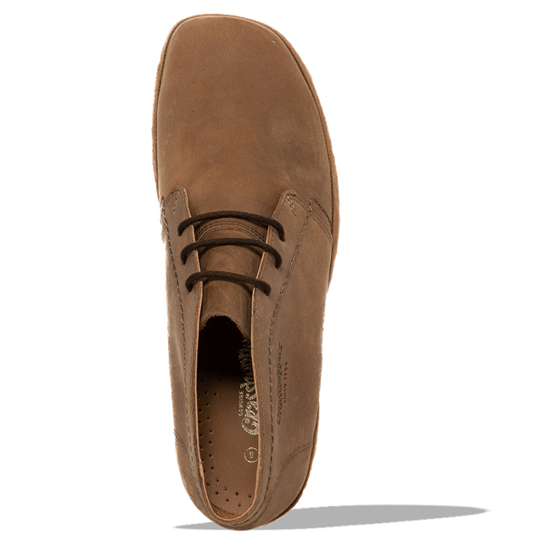 Grasshoppers Nevada San Darkbrown