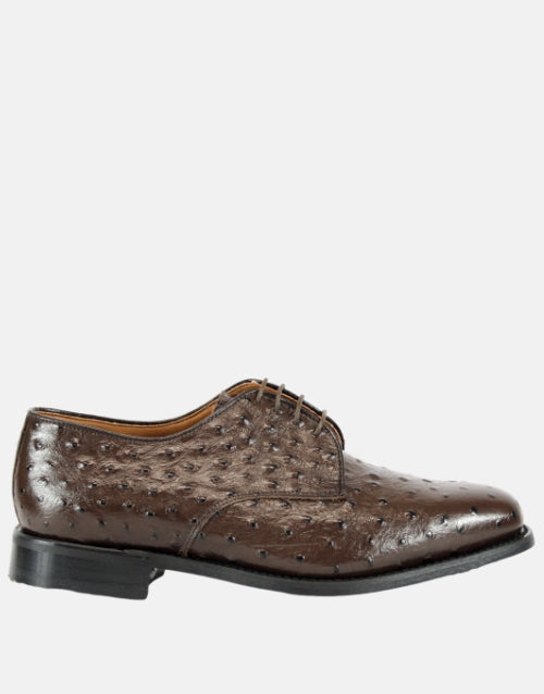 BISHOP Brown Leather Ostrich Shoe