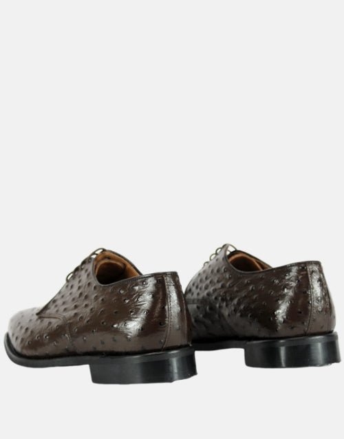 BISHOP Brown Leather Ostrich Shoe