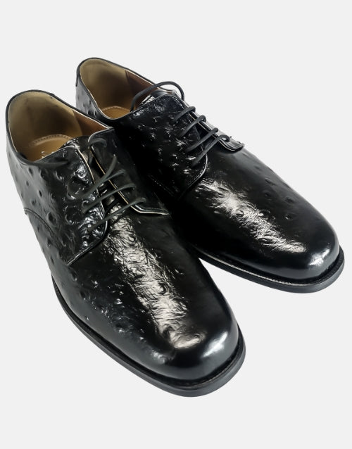 JOHN DRAKE Leather Black Ostrich Shoe