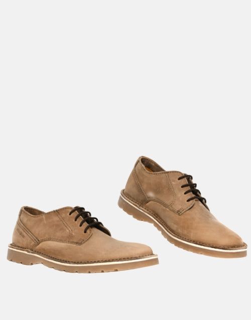 Bronx Alex Putty Sandiego