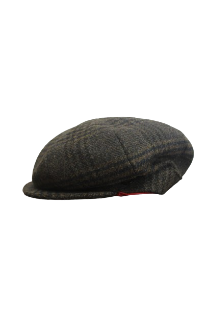 STATUS Brown Newsboy Cap