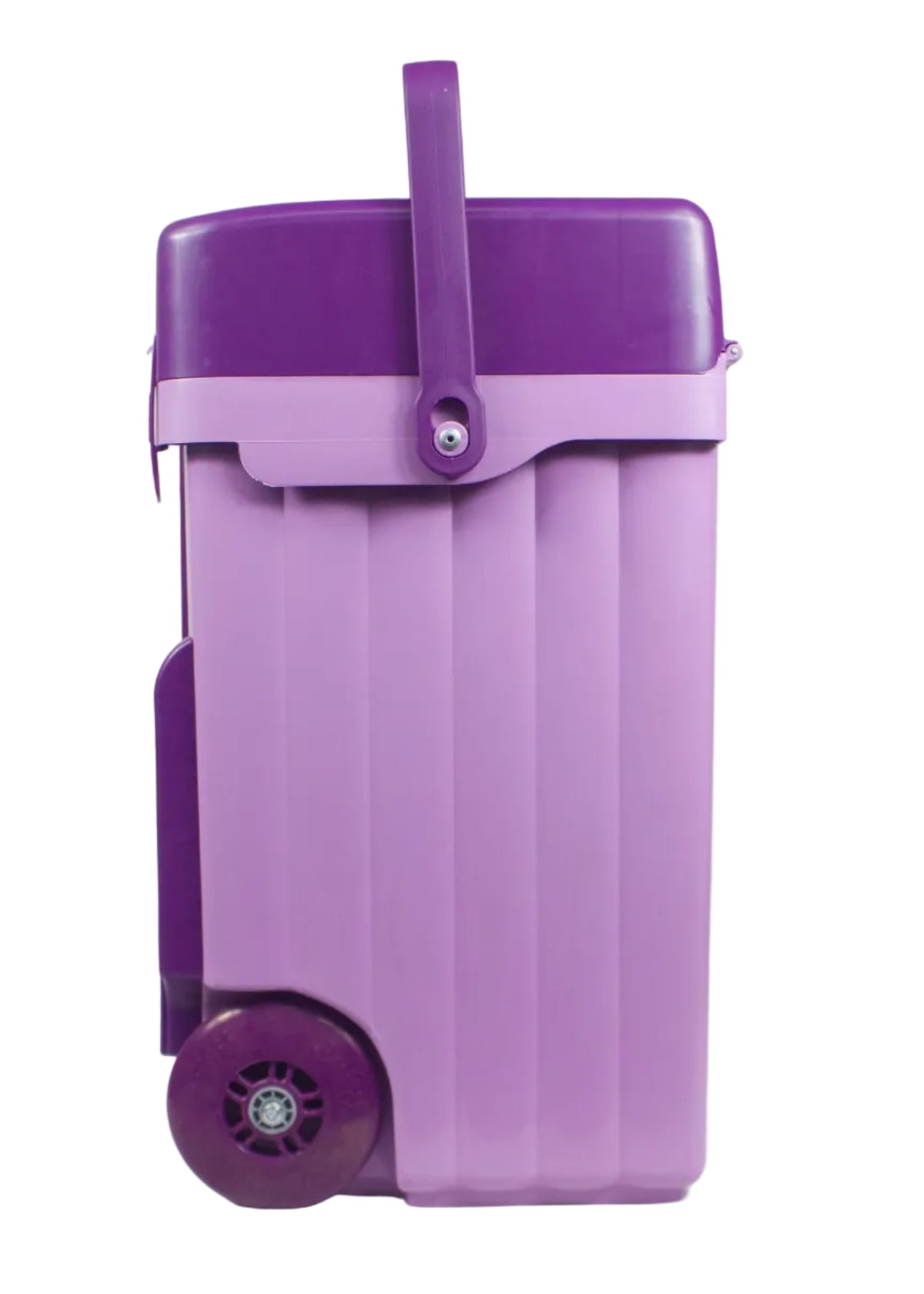 Caddi Trolley School Bag