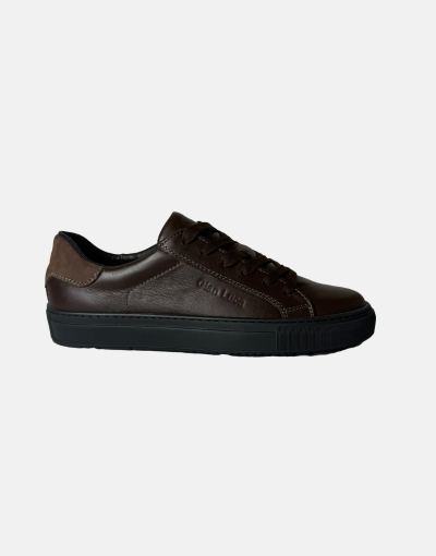 Gian Luca Brown Leather Sneaker