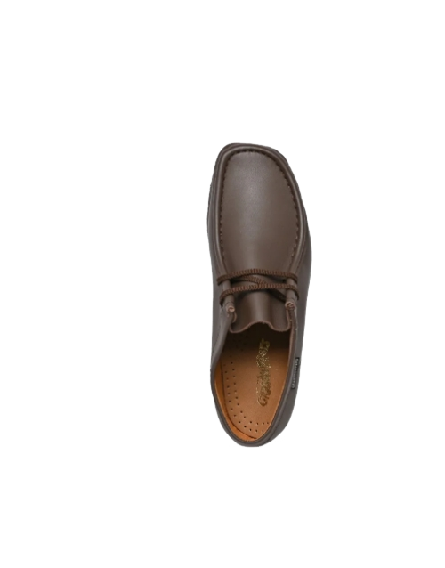 Grasshopper Taylor Softee Dark Brown Shoe