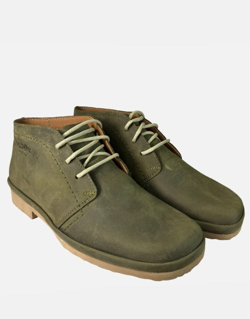 Grasshopper Nevada  Olive